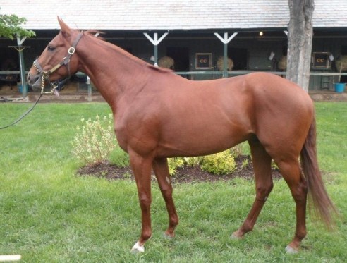 WaynesboroughSaratoga